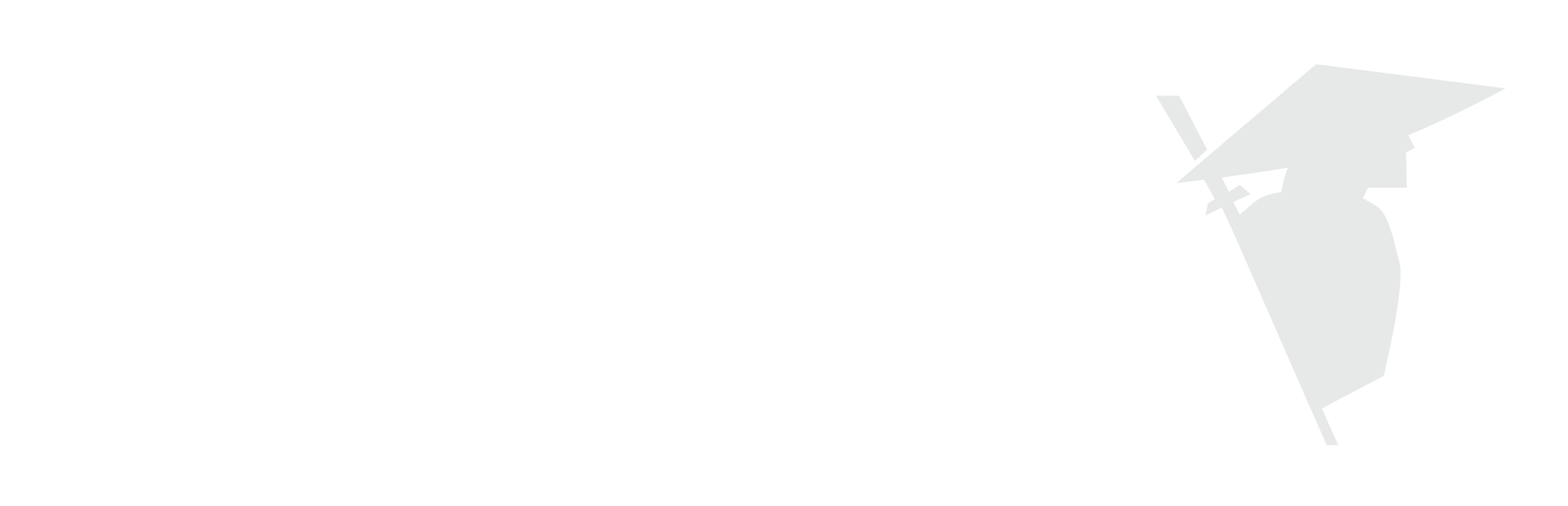 SMRAI Logo